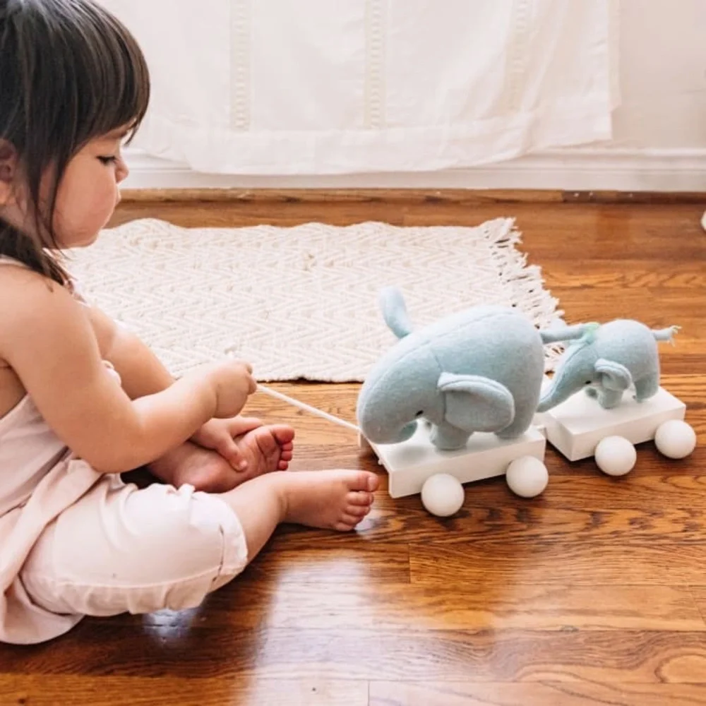 Wonder & Wise Baby's Elephant Pull Toy